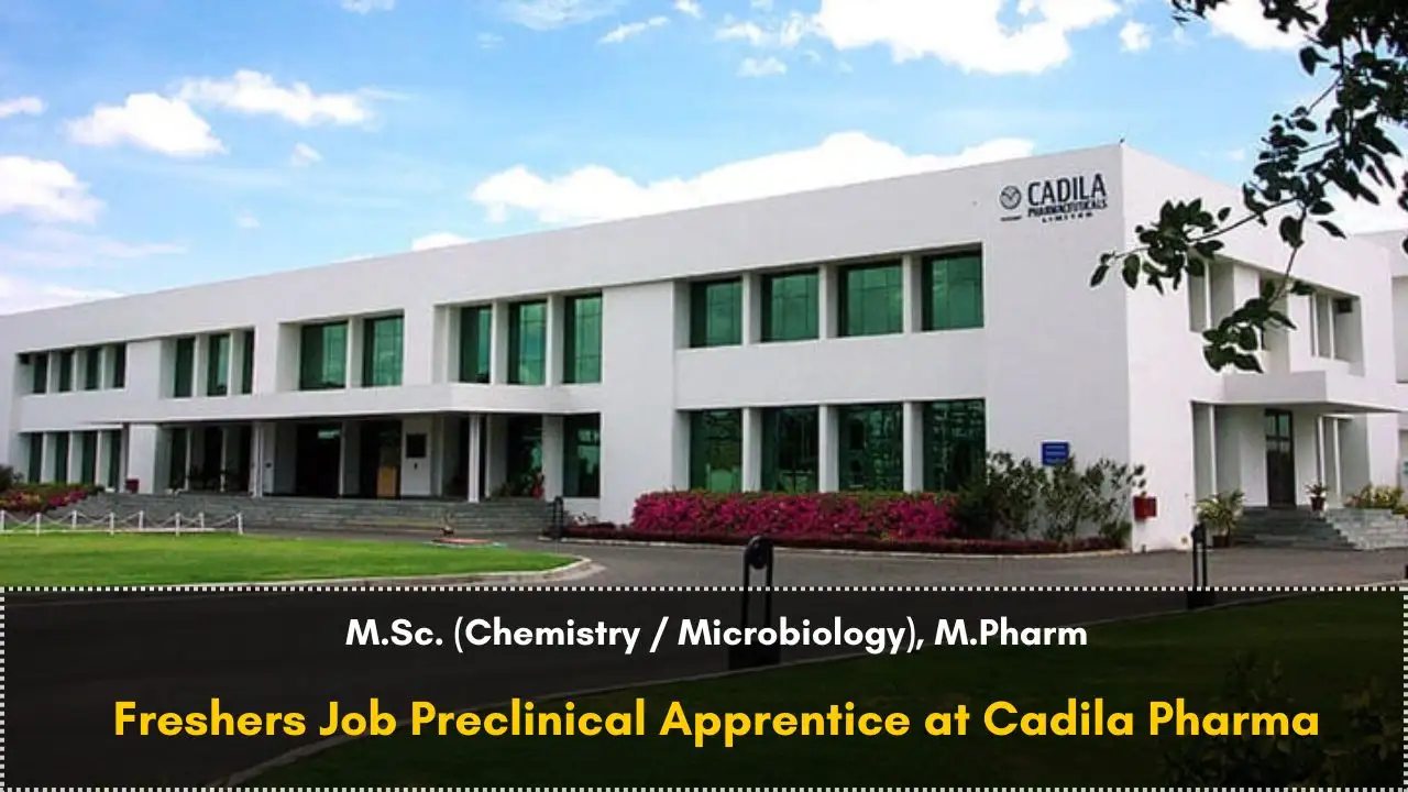 Freshers Job Preclinical Apprentice at Cadila Pharma